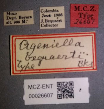 Media type: image;   Entomology 26607 Aspect: labels